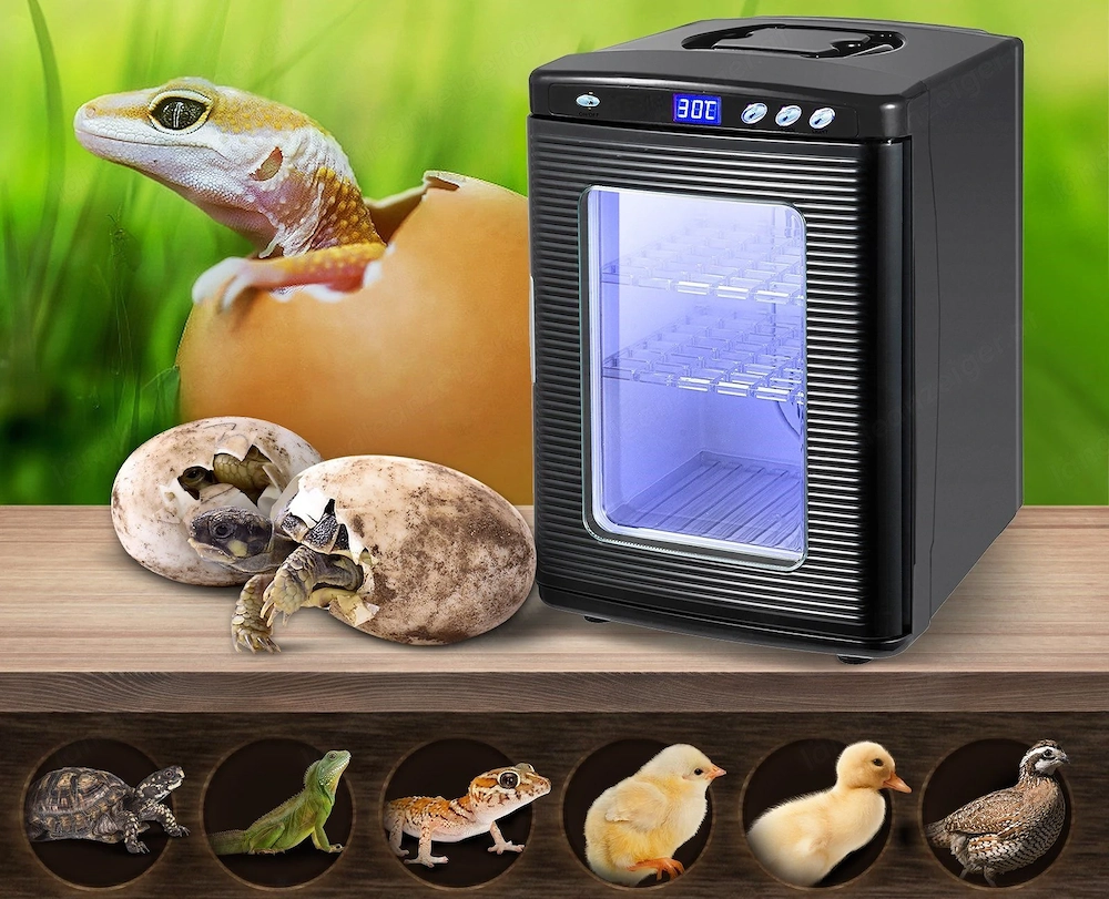 Brutschrank Inkubator 25L Inkubator Reptilien Huehner etc. waermeschrank 5 60 0 C 220V fuer Bruteier