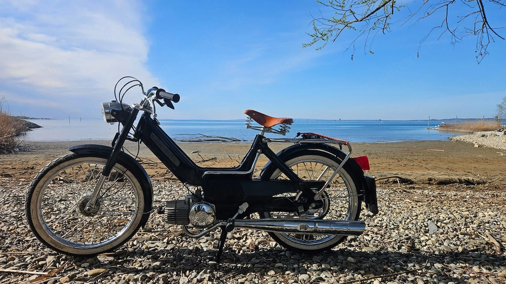 Puch Maxi N