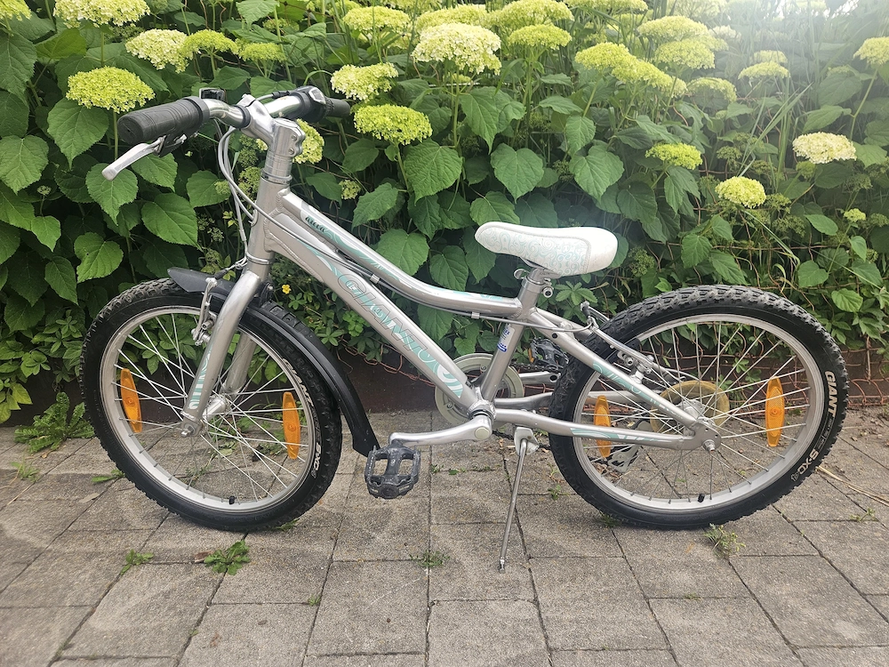 Kinderfahrrad 20 Zoll