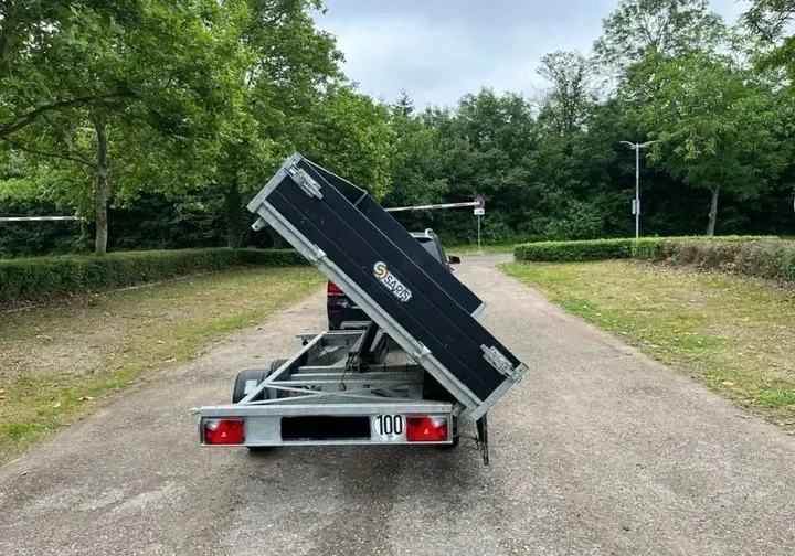 Elektrischer Dreiradanhänger   Pkw-Anhänger