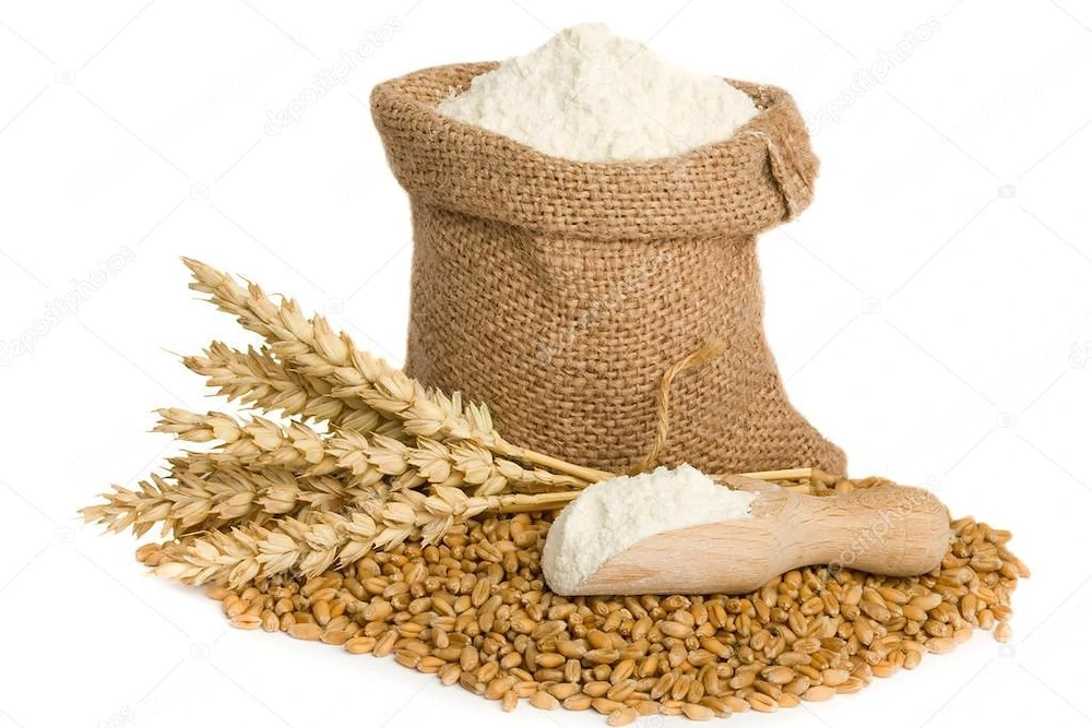 Artikel: Premium rye flour TYPE 750 packaged - 25KG Hochwertiger Artikel aus unserem Online-Shop