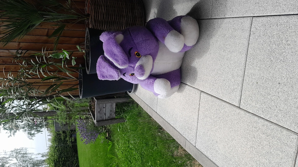 Großer Teddybär