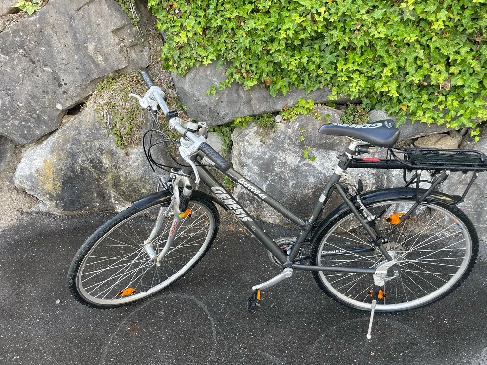 Damenfahrrad