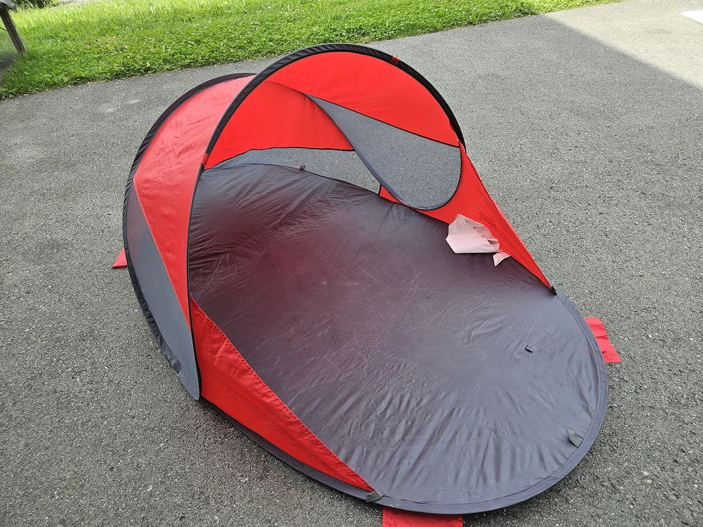 Strandmuschel rot zu verschenken