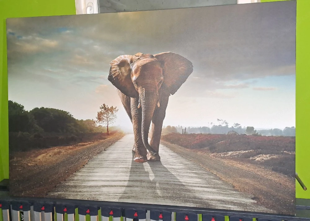 Leinwand Wandbild