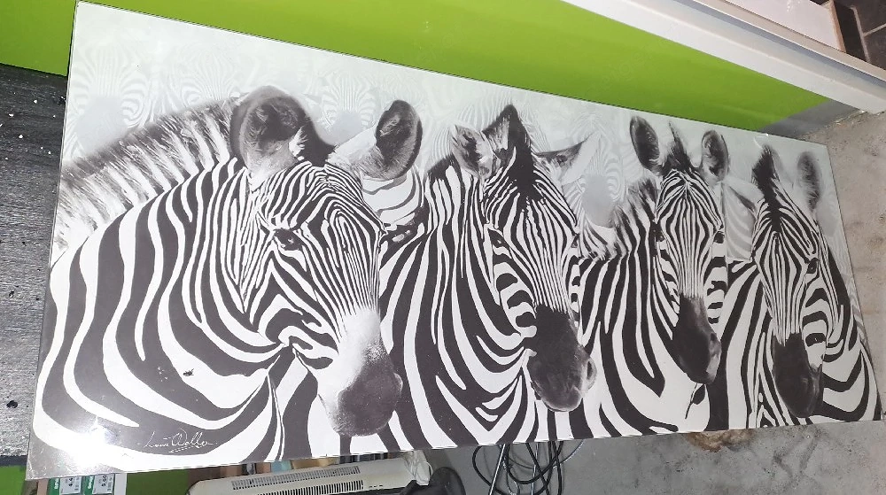 Glasbild Panorama Zebra