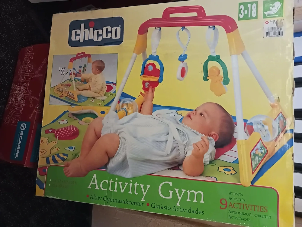 Chicco Activity Gym 