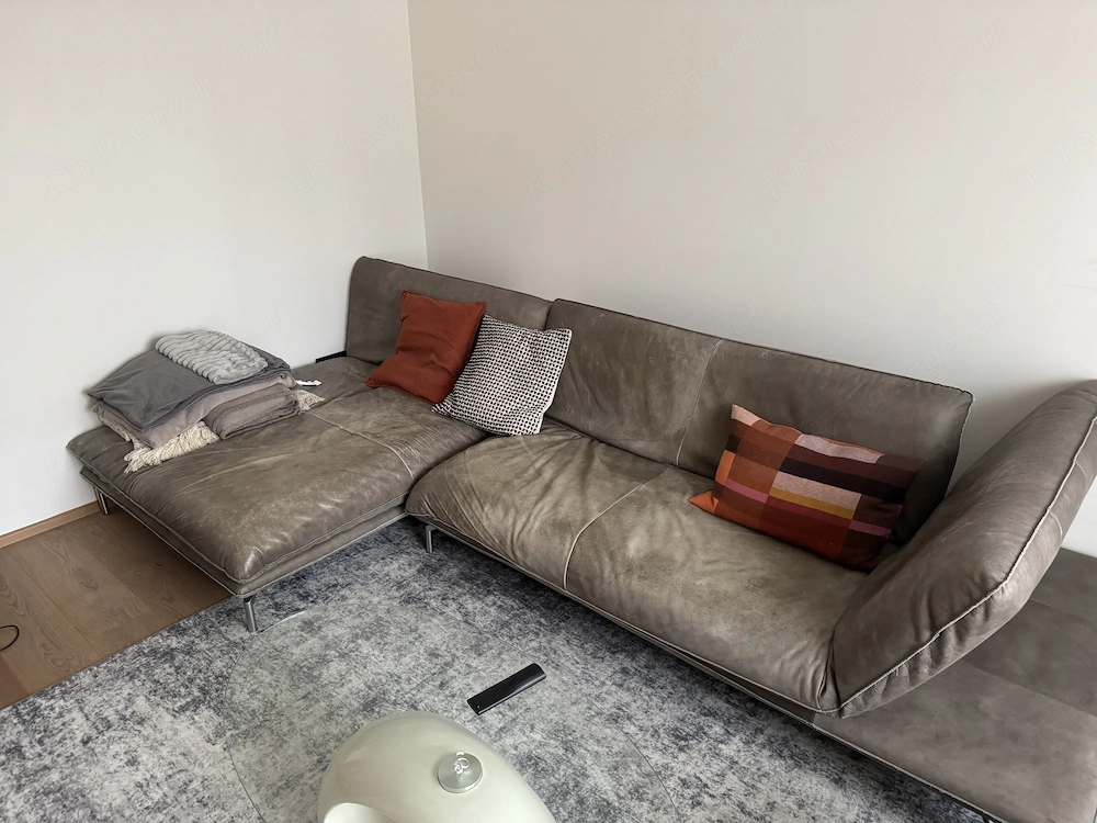Bullfrog Ledersofa grau
