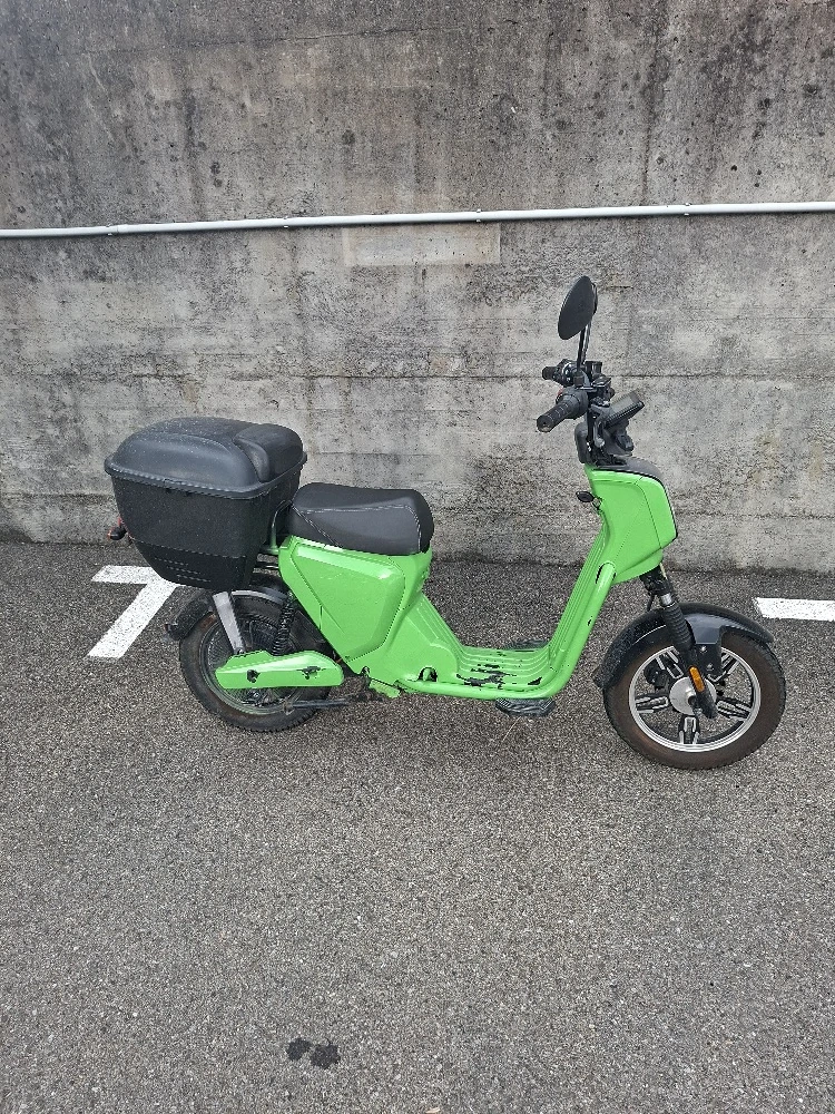 Elektroroller E.F.O. EB250P mit zwei Batterien