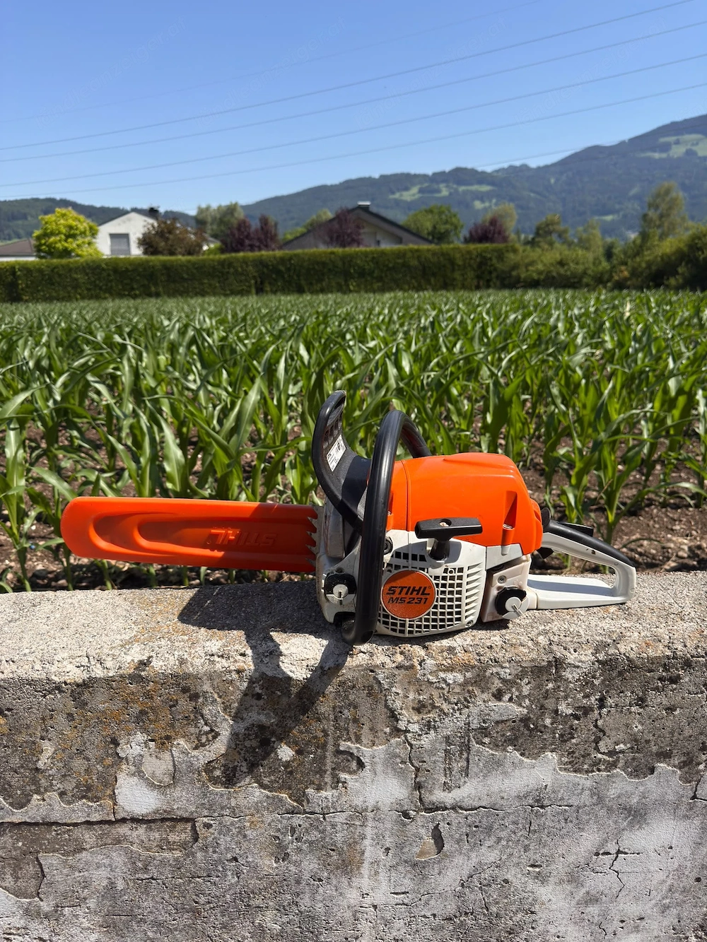 Stihl MS 231 