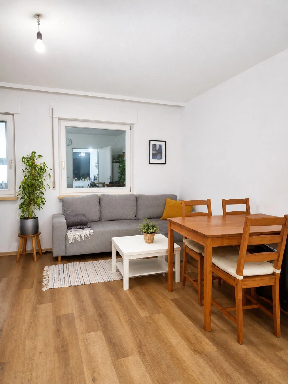 Studio, Sonnige, ruhige 1.5 Zi Whg (Grenznah    )