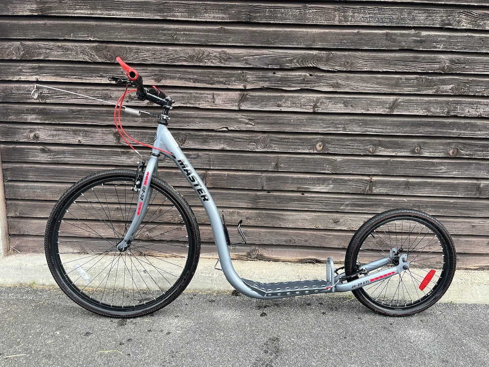 Dogscooter mit Bike Antenne