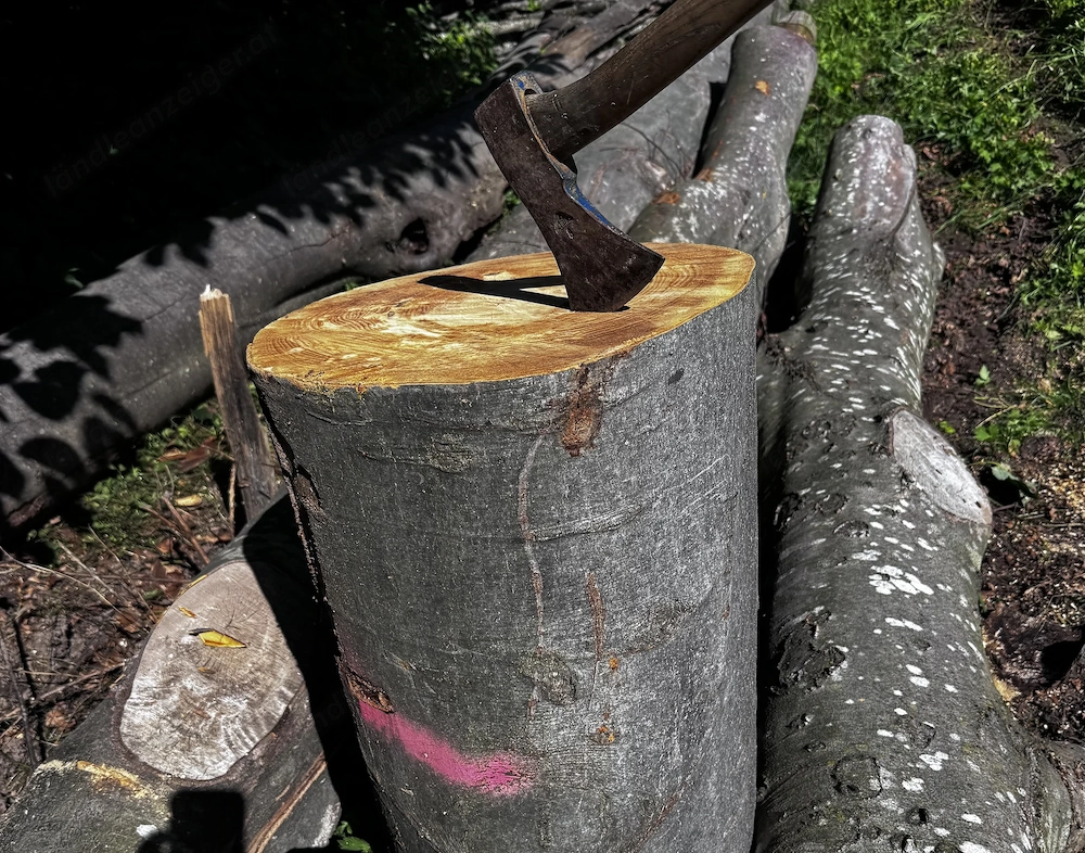Hackstock Hartholz Buche