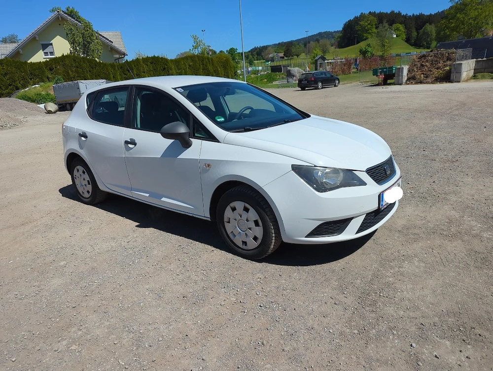 Seat Ibiza 6J | 5 Türer | 8 Fach