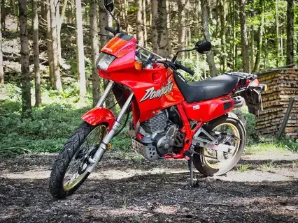 Honda Dominator NX500 | Perfektes A2-Bike  Kult-Klassiker