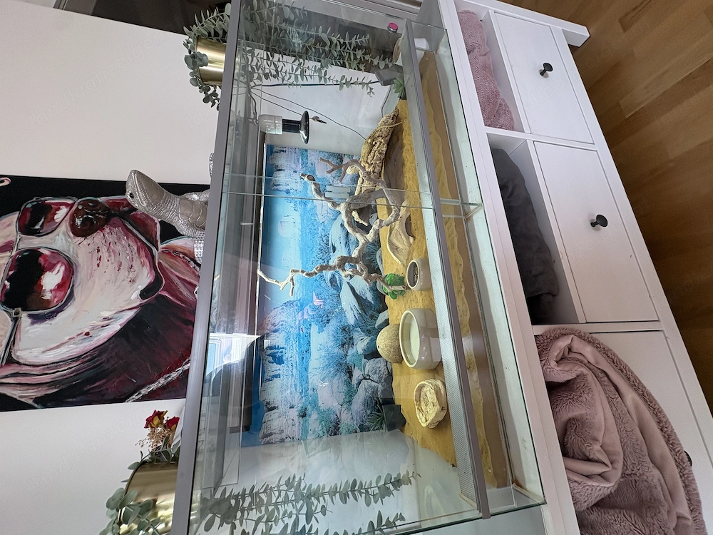 Terrarium inkl. Zubehör 