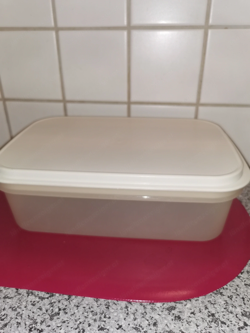 Tuperware Dose länglich 27x17x9 LxBxH
