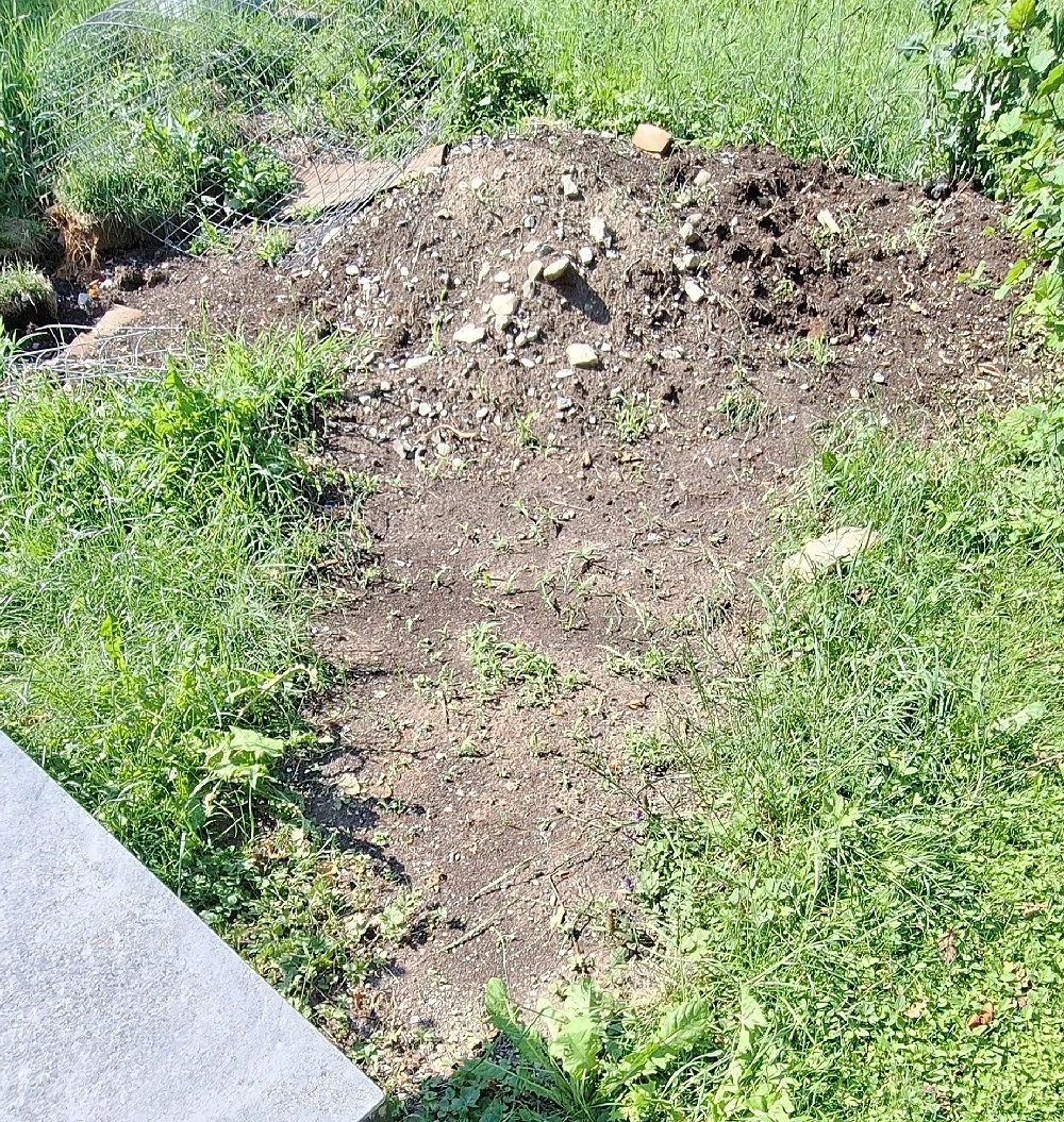 Erde Garten 
