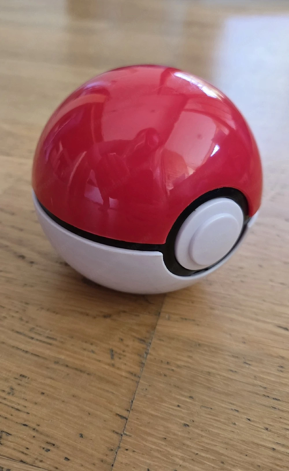 Zanzoon Pokémon: Trainer Guess Kanto Edition