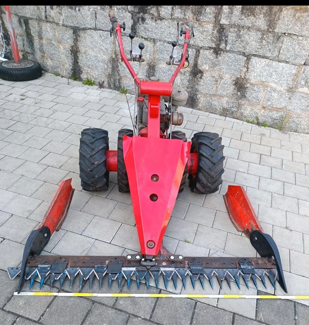 Motormäher Rapid 203