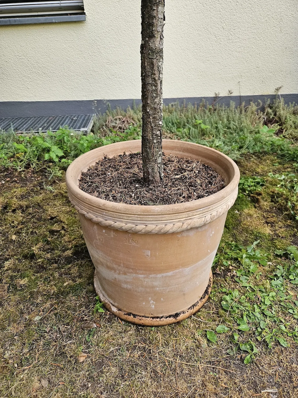 großer, toller Tontopf  