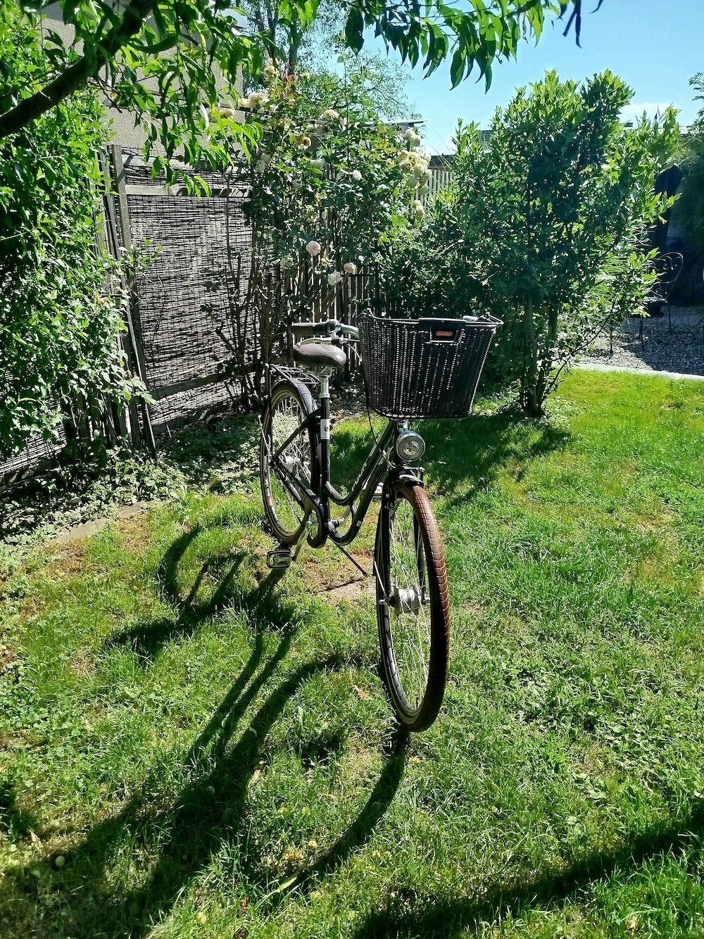 original PUCH Waffenrad