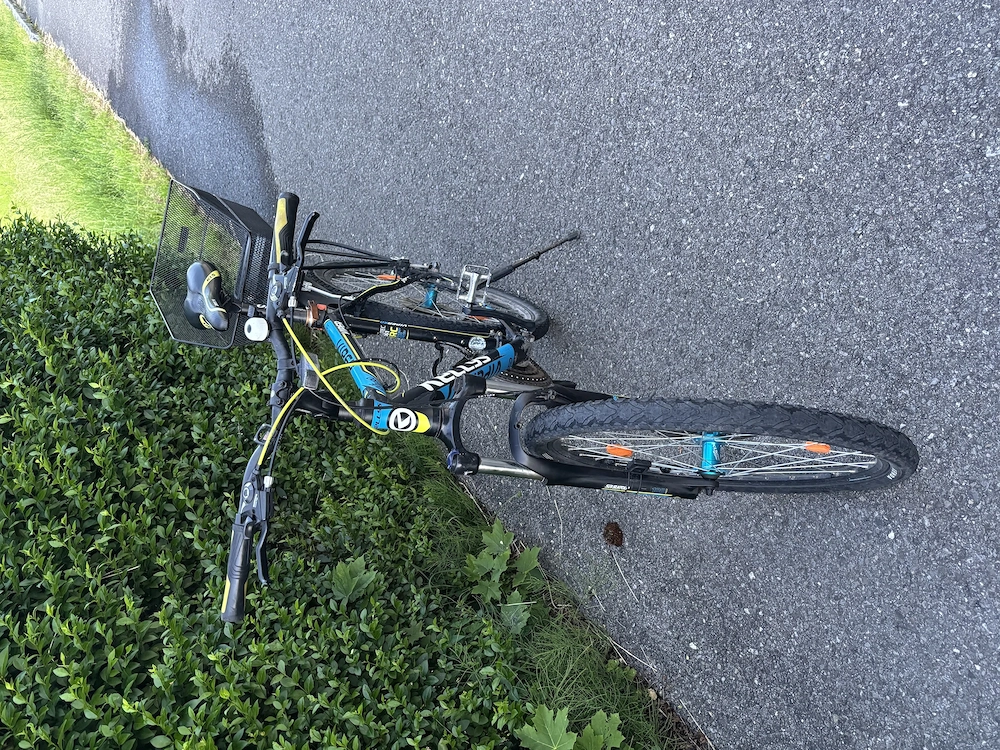 Fahrrad Kellys Viper gebraucht in gutem Zustand
