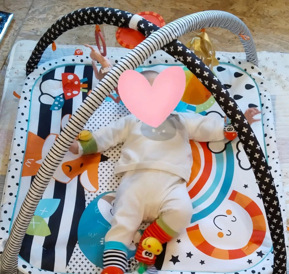 Fisher-Price Spielbogen   Baby-Gym   weich & waschbar
