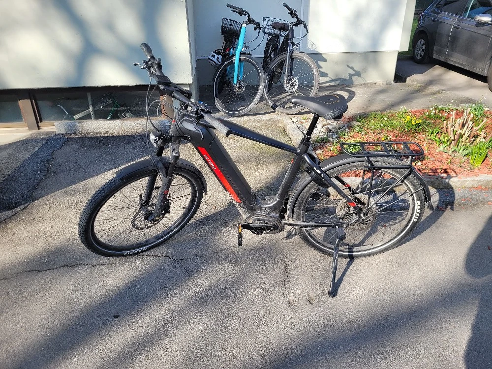 Herren E-Bike 29"