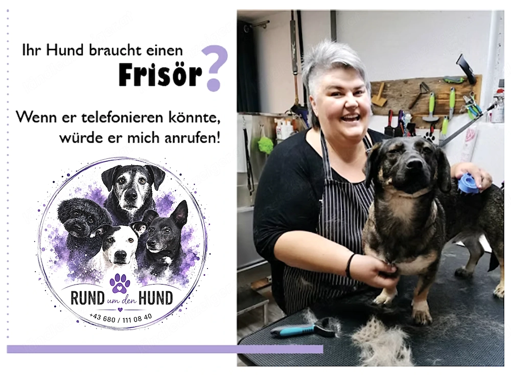 Hundesalon - Rund um den Hund -   ihr Hundefrisör