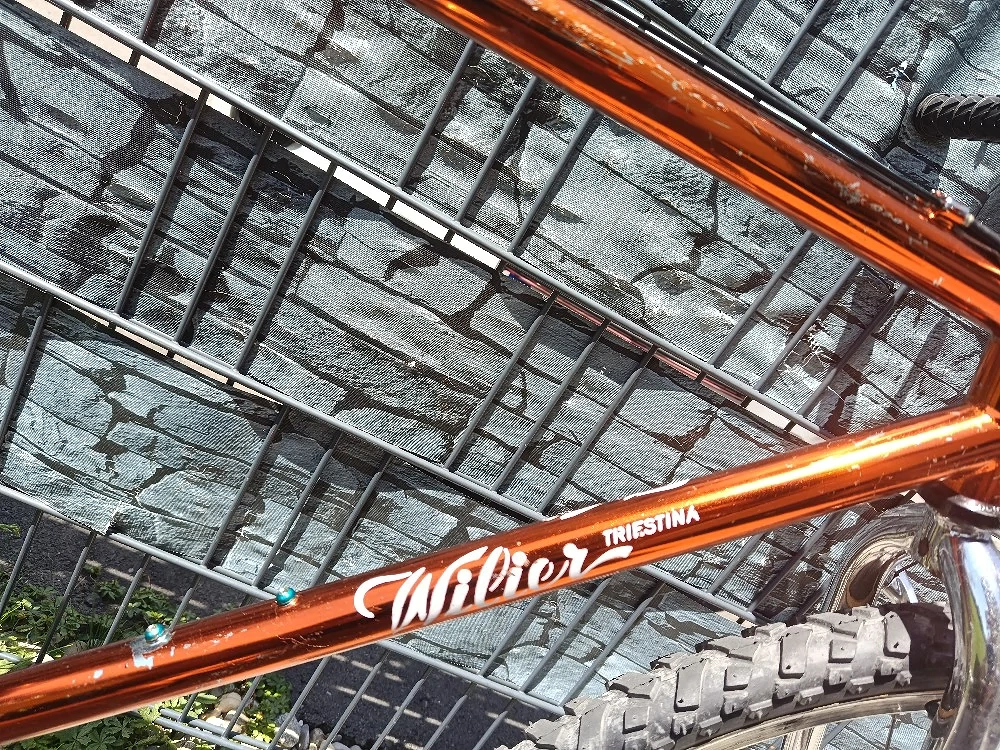 Mountainbike Willier Trestina Champion d' Italia 