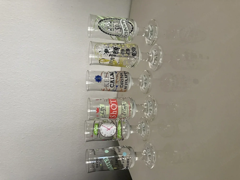 6 Ritzenhoff Gläser 