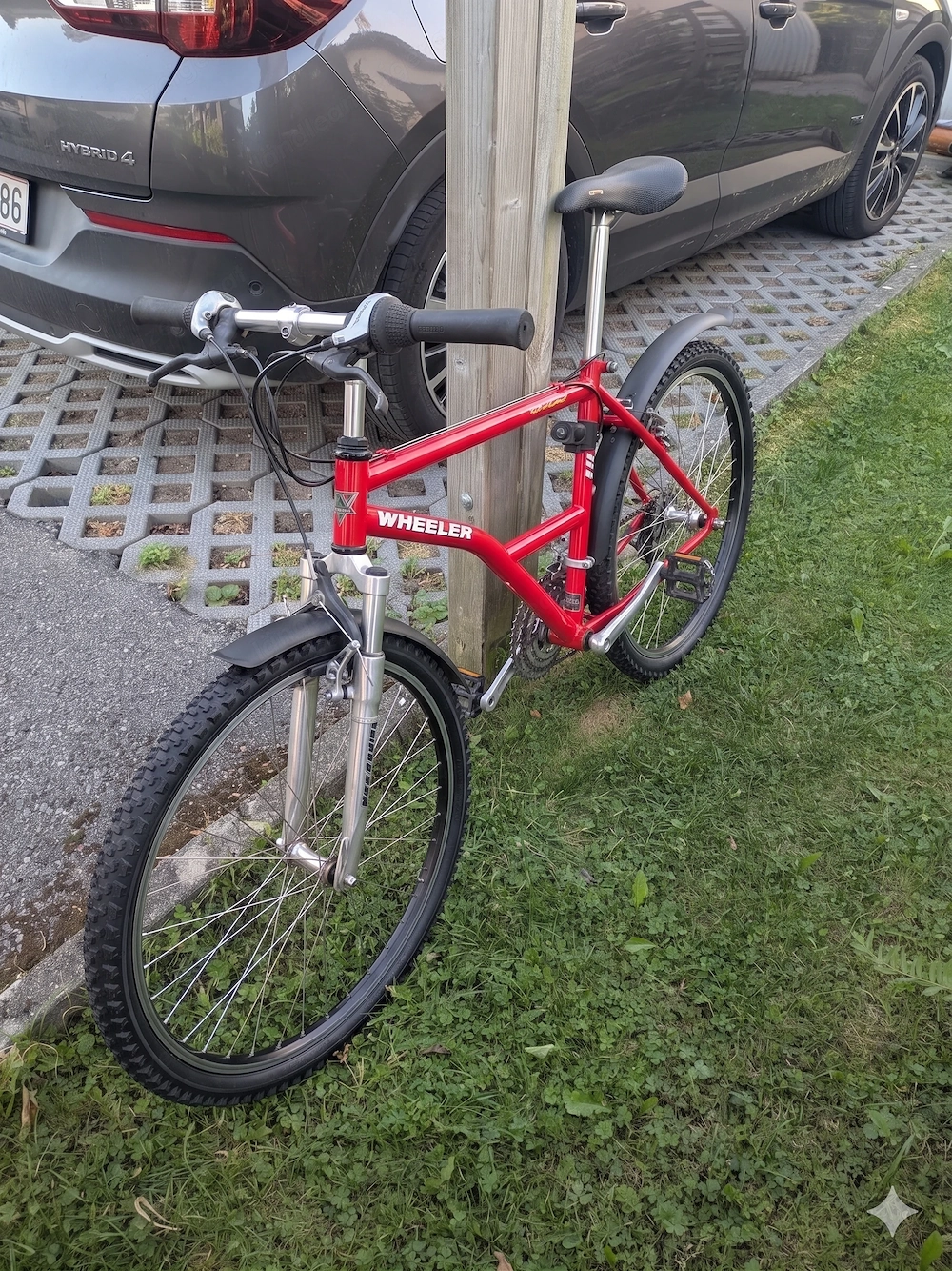 Mountainbike gebraucht - muss weg, sonst Entsorgung
