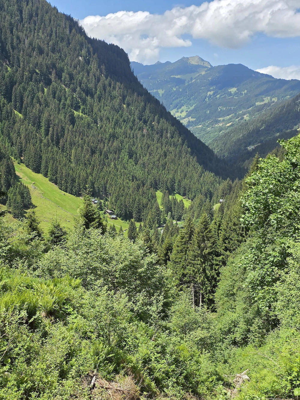 Mietwohnung im Montafon gesucht.