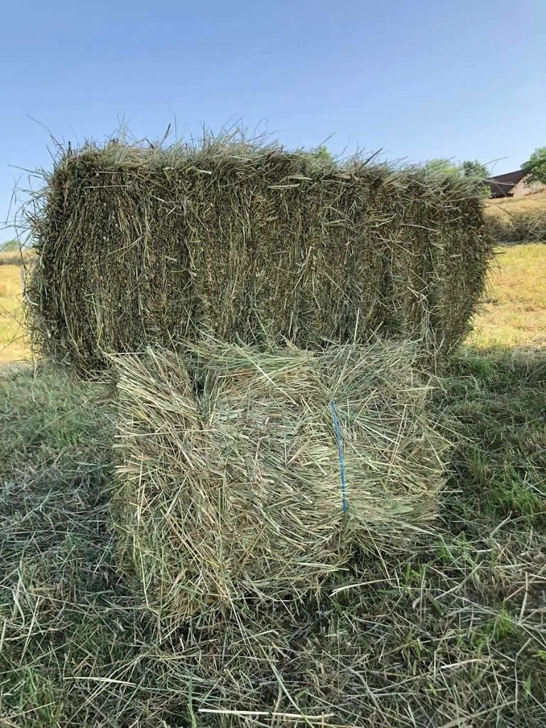 kleine Ballen Heu, HD Ballen Heu, Pferdeheu