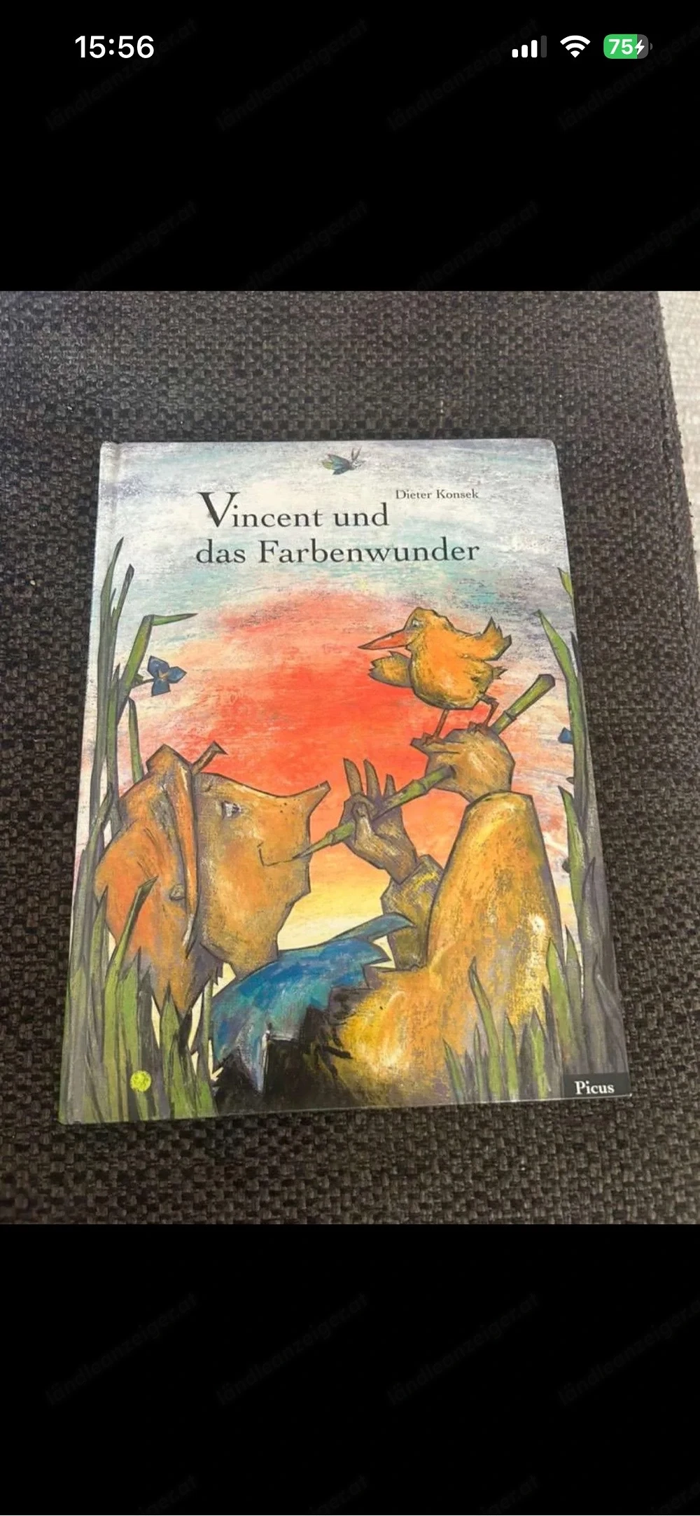 Vincent und das Farbenwunder
