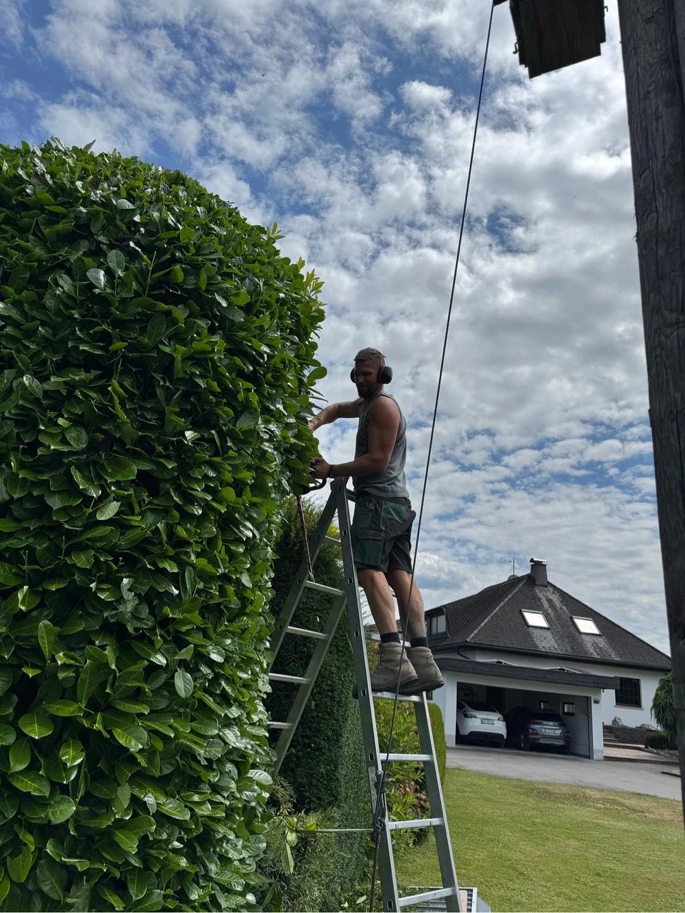 Baumfällung Baumrückschnitt Rückschnitt heckenschnitt Gartenarbeit fällung 