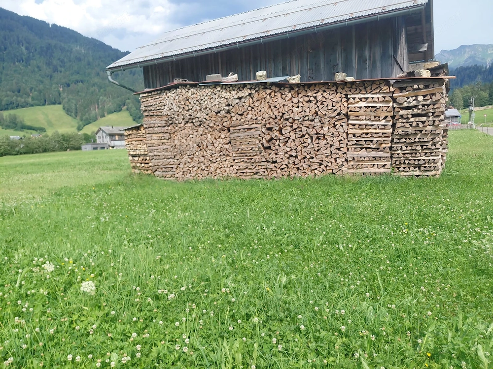 Brennholz weich und hart