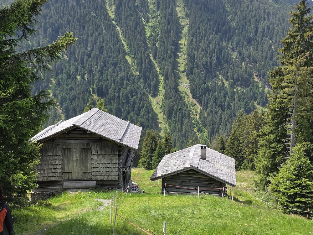 Gesucht wird eine Miwtwohnung im Montafon!