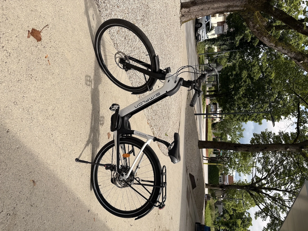E - Bike Fahrrad