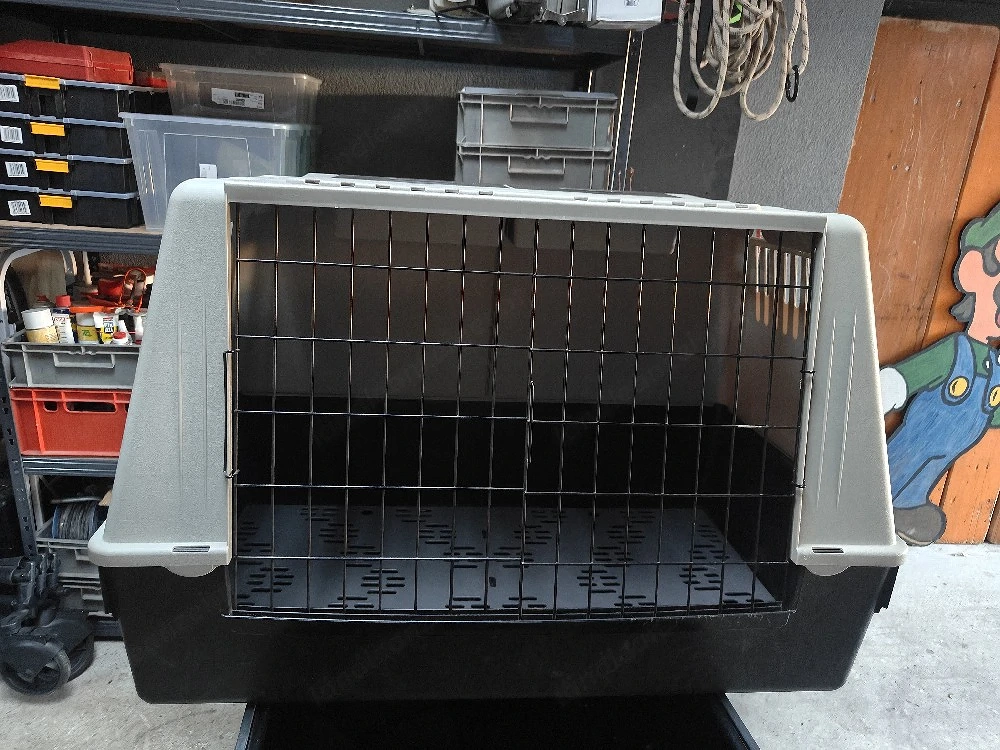 Hundebox Kunststoff 