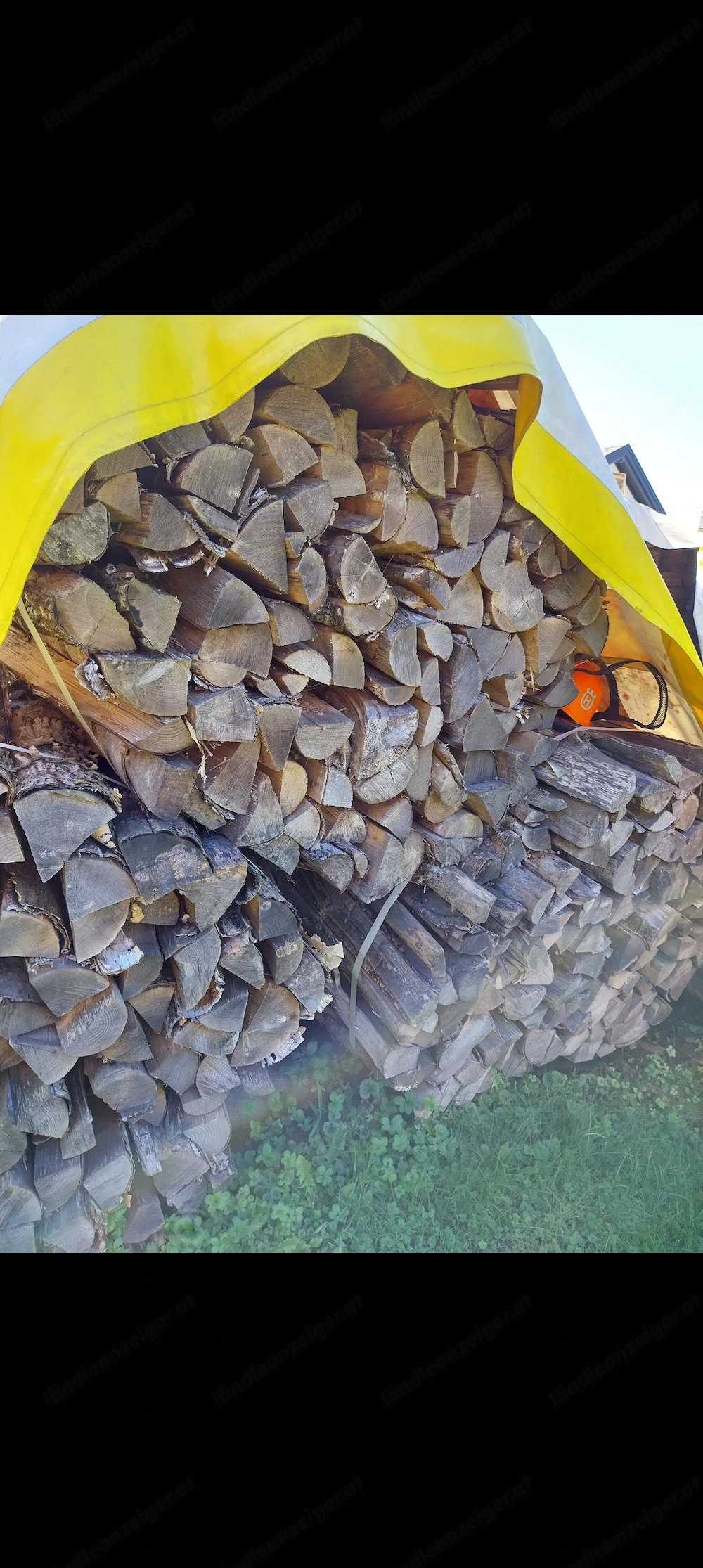 Brennholz Hart trocken