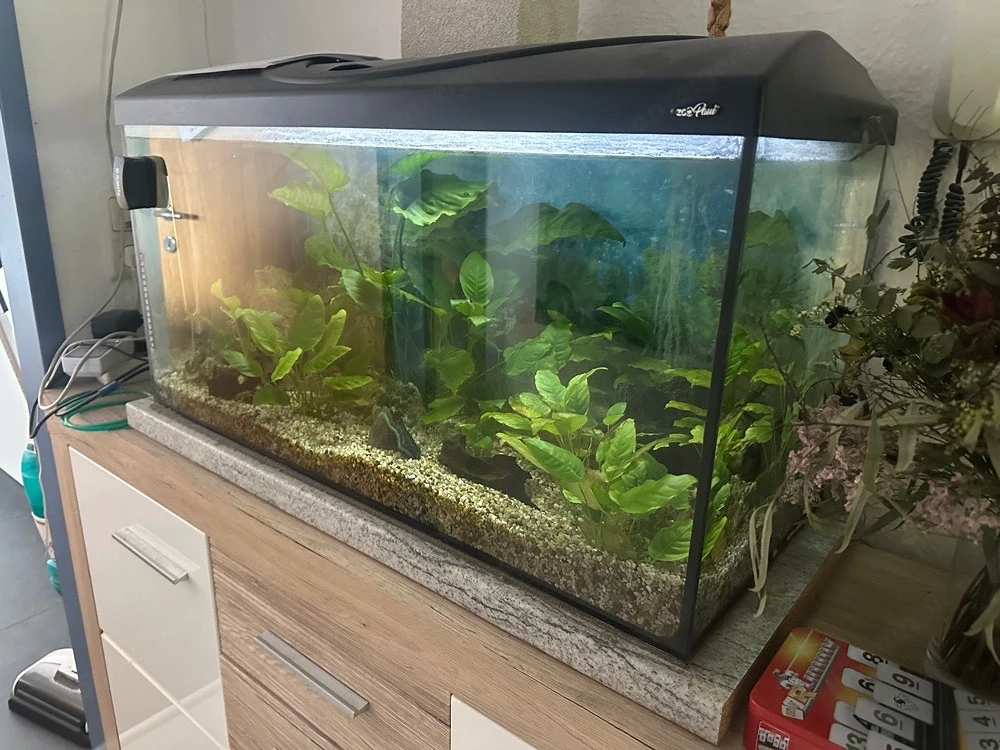 Aquariumset 