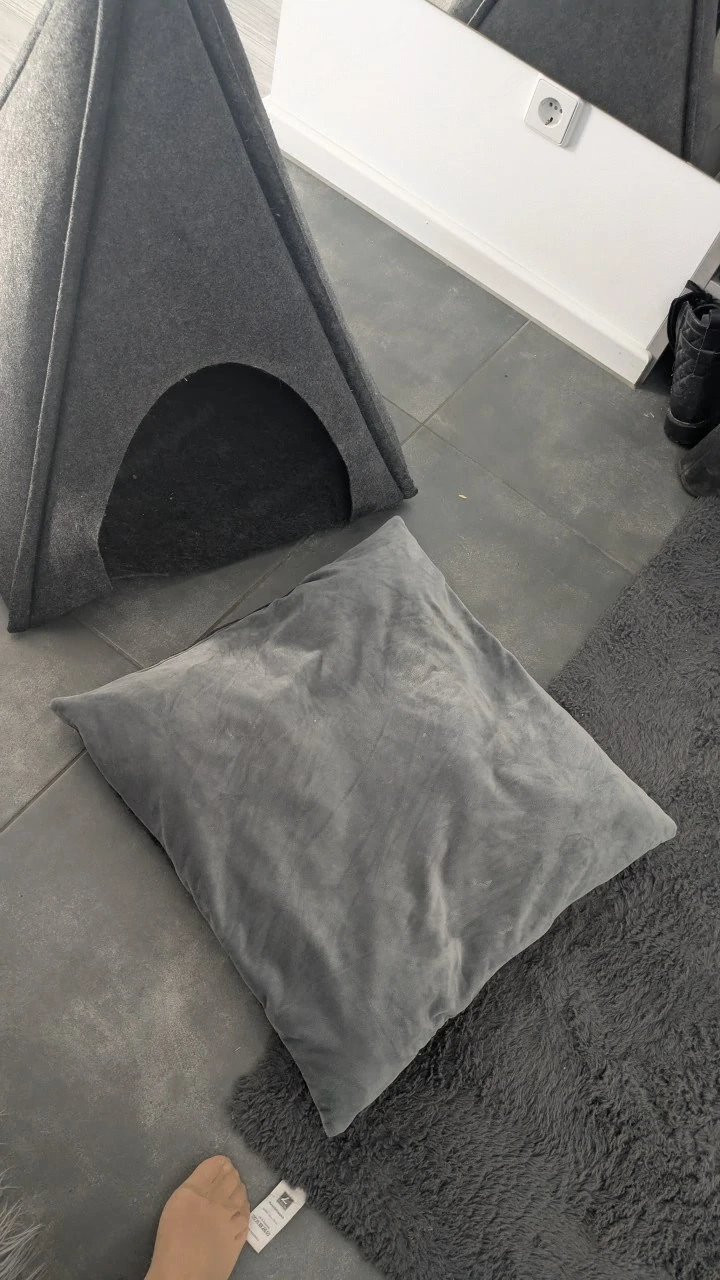 Tippizelt Hunde, Katzen