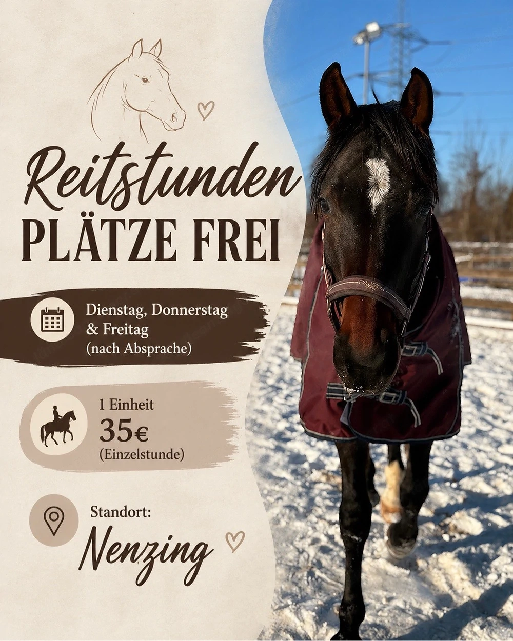 Reitstunden 