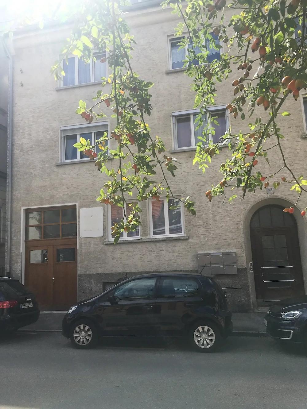 3 Zimmer Wohnung zu vermieten Bregenz Innenstadt