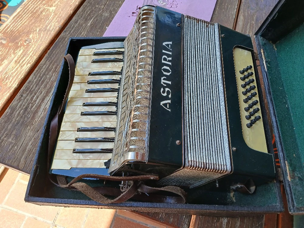 Steirerorgel für Kinder Harmonika