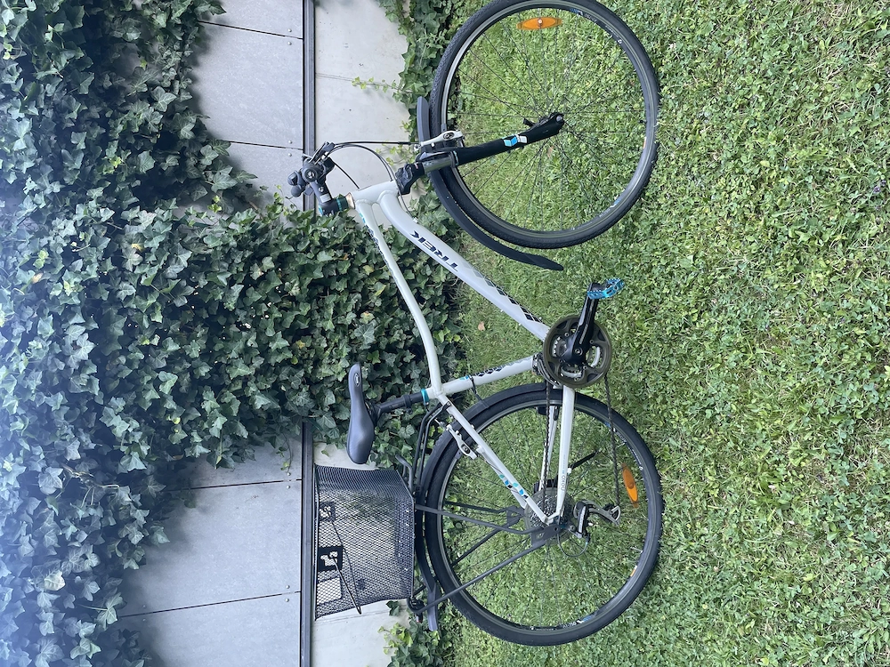 Trek Neko Women's Fahrrad