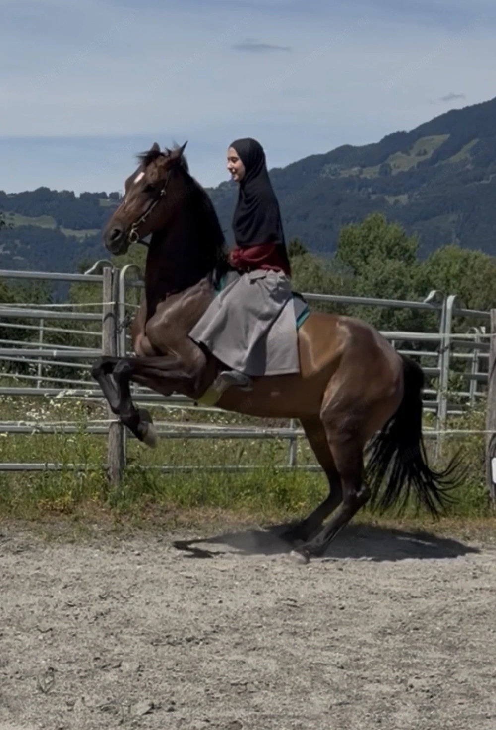 Beritt & Unterricht  in der Altklassischen Reitkunst