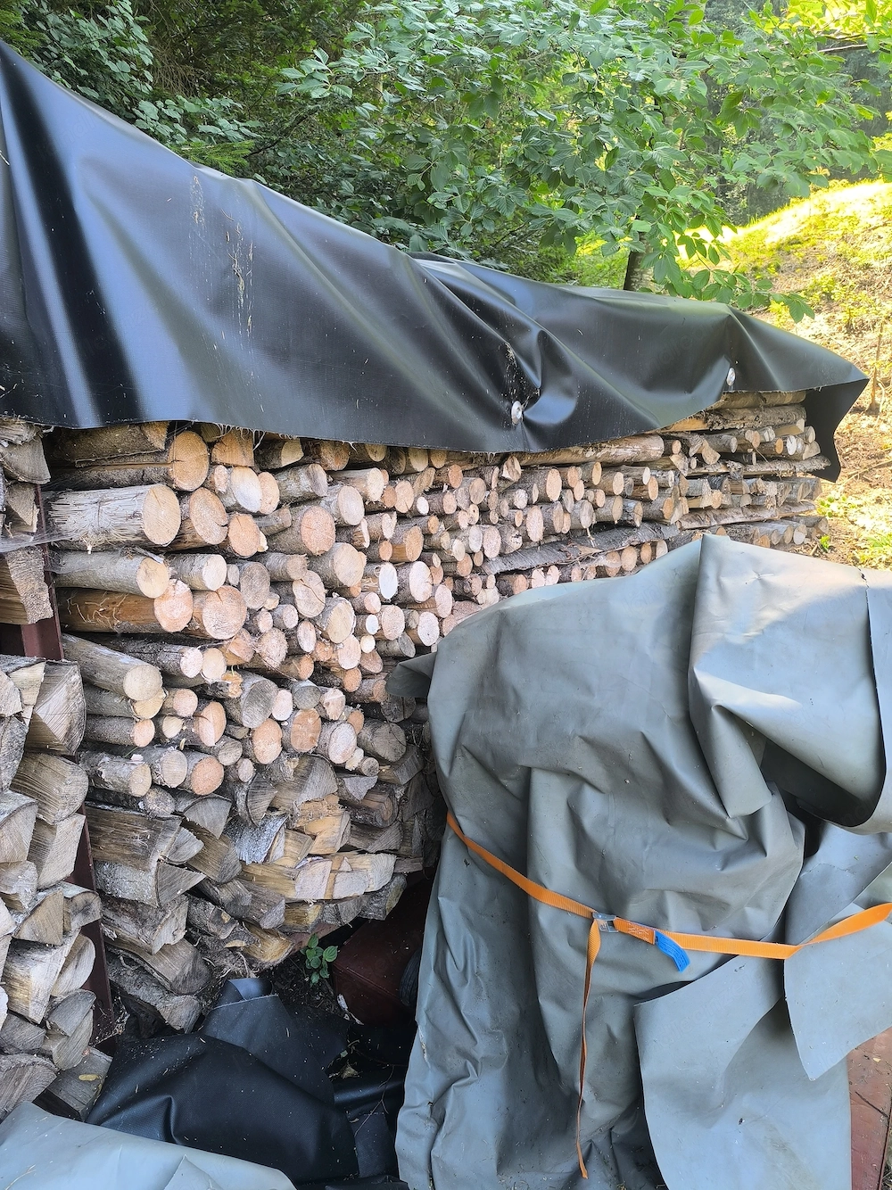 Brennholz Weich Hart